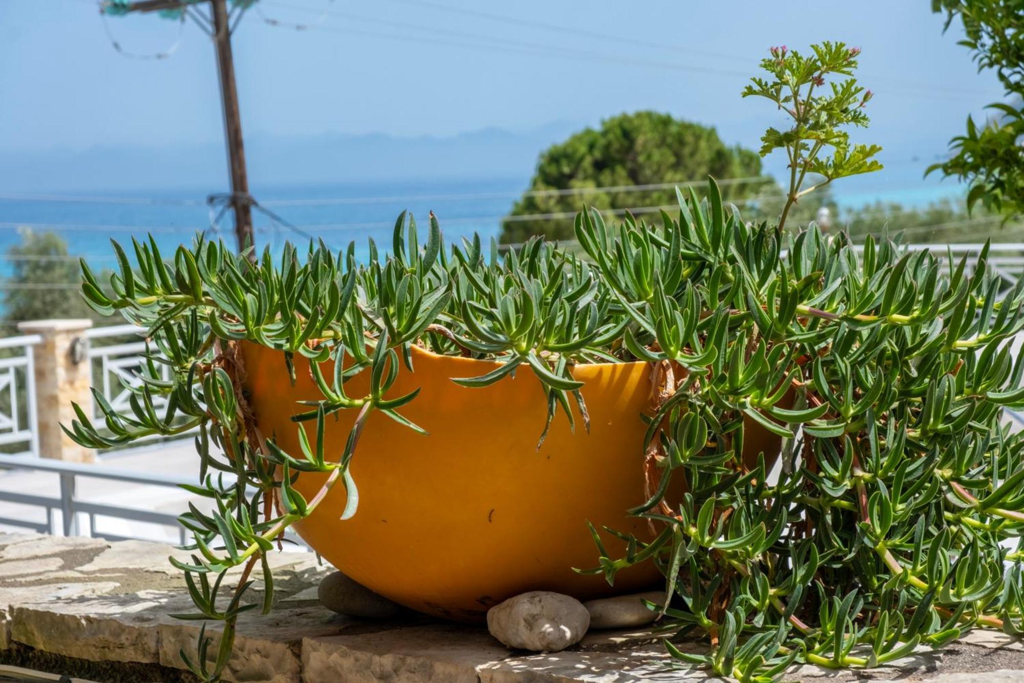 Theasea House Διαμέρισμα Άγιος Νικήτας Εξωτερικό φωτογραφία